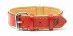 Riparo Genuine Leather Padded Dog Heavy Duty K-9 Adjustable Collar Red. Fixed Price $27.97.