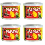 Zoo Med Fruit Mix-ins Papaya Reptile Wet Food 3.4 Oz (4-PACK). Fixed Price $21.95.