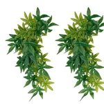 2 Pack Reptile Silk Plants With Suction Cups - Realistic Climbing Vines & Gra.... Fixed Price $26.49.
