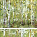 40W"X30H" Essence Of Green By Bridges - Pale Bark Trees Forest Choices Canvas. Fixed Price $379.00.