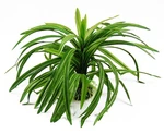 Cnz Aquarium Fish Tank Decoration Ornament Artificial 9 In Green,. Fixed Price $19.94.