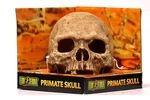Exo Primate Skull Terrarium Ornament Decoration For Reptiles PT2855. Fixed Price $17.99.