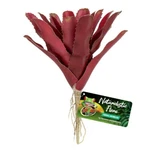 Zoo Med Naturalistic Flora Fireball Bromeliad Terrarium Plant. Fixed Price $12.95.