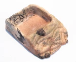 Zoo Med Repti Ramp Bowl Null. Fixed Price $7.50.