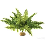 Exo Terra Rainforest Plant Boston Fern Medium Pt 2995. Fixed Price $15.99.