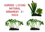 3X Komodo Jungle Plants With Gravel Base Aquarium Cactus W/ Succulent + Sprouts. Fixed Price $19.99.