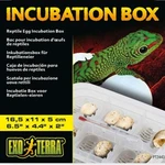 Exo Terra Incubation Box PT2443 Suspended Method Holds 12 Eggs. Fixed Price $12.99.