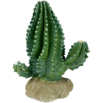 Komodo Columnar Cactus. Fixed Price $14.99.