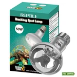 Lucky Herp 50W Clear Uva Reptile Heat Lamp Bulb. Fixed Price $14.30.