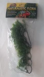 Zoo Med Naturalistic Flora Borneo Star Terrarium Plant. Fixed Price $9.99.