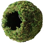 Galapagos Green Mossy Cave Reptile Corner Hide For Amphibians 4 And 6 Inch. Fixed Price $19.09.