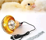 Tobebright 150W Chicken Coop Heater Lamp For. Fixed Price $26.00.