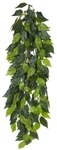 Exo Terra Large Multi Color Artificial Plant For Pets Quality And Safety. Fixed Price $21.69.