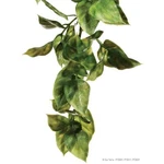 Exo Terra Plastic Amapallo Plant. Fixed Price $10.99.