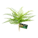 Zoo Med Naturalistic Flora Lace Fern. Fixed Price $11.69.