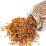 Reptile Food Dried Mealworms Pet For Bearded 3.5 Ounce (pack Of 1). Fixed Price $18.99.