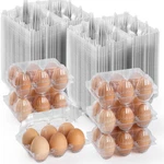 Apochon 200PCS Clear Plastic Egg Cartons 6 Count,half Dozen. Fixed Price $48.16.