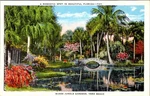Mckee Jungle Gardens Vero Beach Fl Stone Arch Bridge Water Lilies Postcard C1950. Fixed Price $6.29.