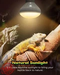 Haceryc Reptile Heat Lamp 75W Uva Basking Bulb 2-PACK For Bearded Dragon. Fixed Price $27.99.