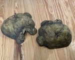 Exo 2-SET Reptile Cave Natural Hiding Place Look Snake Terrarium. Fixed Price $22.00.