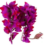 2 Pack Realistic Silk Hanging Plants For Reptile Terrarium, Non-toxic Artific.... Fixed Price $25.16.