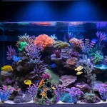 Aquarium Colorful Coral Reef Set Fish Tank Decoration Mountain Ornament For. Fixed Price $27.46.