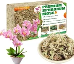 Legigo Premium Sphagnum Moss For Plants- Natural QT(APPX.14OZ). Fixed Price $21.82.