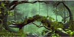 Awert Inches Foggy Forest Terrarium Background Stone 72X24IN/180X60CM. Fixed Price $17.58.