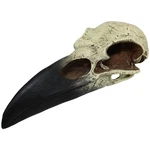 Komodo Reptile Terrarium Realistic Raven Skull Ornament Decor Easy To Clean.... Fixed Price $30.90.