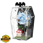 Zuifianle Coffin Spider Enclosure Acrylic Magnetic Terrarium. Fixed Price $34.99.