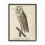 Stupell Industries Owl Drawing Vintage Paper Animal Bird Black Framed Wall Ar.... Fixed Price $35.62.