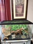Aquarium Tank Kit Reptile Turtle Frog Lizard Snake Exo Animal Habitat. Fixed Price $150.00.