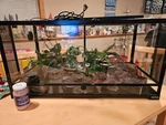 Aquarium Tank Kit Reptile Turtle Frog Lizard Snake Exo Animal Habitat. Fixed Price $170.00.