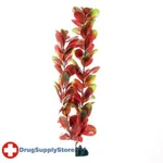 Ra Red/green Bacopa - 16". Fixed Price $19.87.