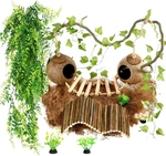 10PCS Crested Gecko Tank Accessories Set Natural Double Coconut Shell With Lad. Fixed Price $35.39.