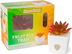 Fruit Fly Trap Refillable Succulent Fake Plant Joyful Janet W/ Lure Zendozones. Fixed Price $9.99.