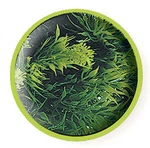 Zoo Med Natural Bush Plant Malaysian Fern. Fixed Price $8.99.
