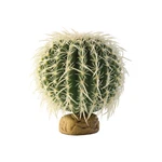 Exo Barrel Cactus Plant Medium For Terrariums PT-2985. Fixed Price $9.99.