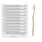 Terra & Co. Gentle Green 10-PACK Of Plastic-toothbrushes With .... Fixed Price $26.85.
