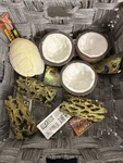Lot Of Misc Reptile Terrarium Supplies Water Dishes Shelters Etc. Fixed Price $14.95.