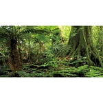 48X24 Inches Forest Terrarium Background Stone Green Huge Tree Reptile Habitat. Fixed Price $18.37.