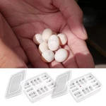 Reptile Egg Incubator Box Diy 16 Grids Transparent Hatch Snake Lizard. Fixed Price $12.74.