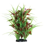 Underwater Treasures Flowering Arrowhead Plant 12". Fixed Price $13.49.
