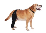 Yoneba Dog Recovery Sleeve Back Leg Breathable Material Mpn DEG-08. Fixed Price $7.49.
