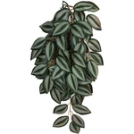 Komodo Zebrina Hanging Plant Each/sm, 16 By. Fixed Price $18.41.