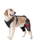 Lispoo Dog Knee Brace Rear Leg Support For Luxating Patella,torn Ligament, .... Fixed Price $255.19.