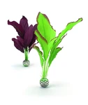 Biorb Silk Plant Set Medium & Purple/green. Fixed Price $29.16.
