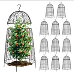 12PCS Garden Cloche For PLANTS,20 12.6IN Large Size Cages Outdoor. Fixed Price $194.32.