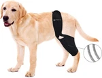 Baoguai Knee Brace Pro, For Dogs Acl, Luxating Patella Reduces Pain,l. Fixed Price $20.87.