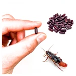 Red Runner Roach Starter Colony 50 Adult Breeders + 20 Eggs (live Feeders). Fixed Price $64.94.